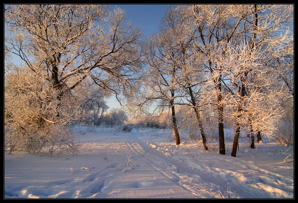 photo "***" tags: landscape, winter