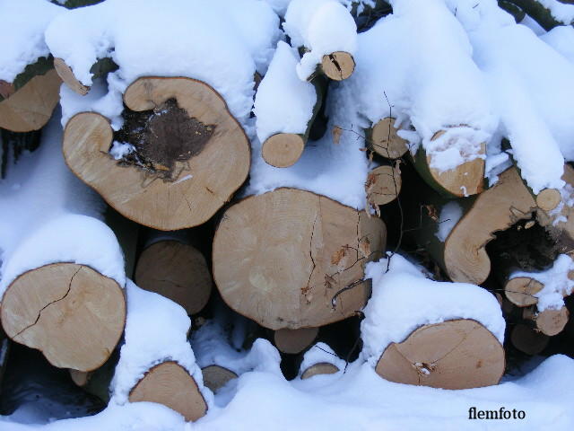 фото "Winter in the wood." метки: природа, 