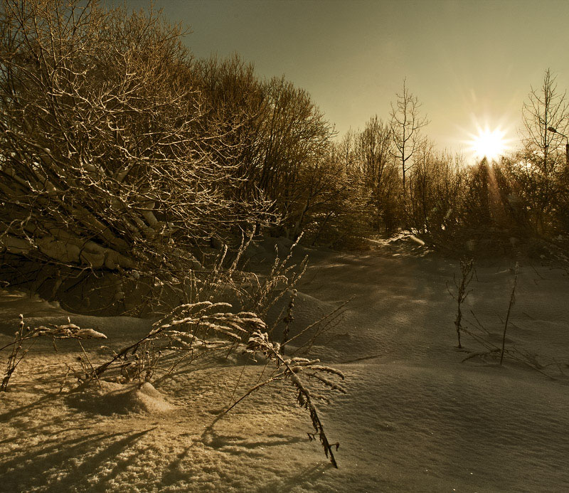 Снег пейзаж. Теплый снег.