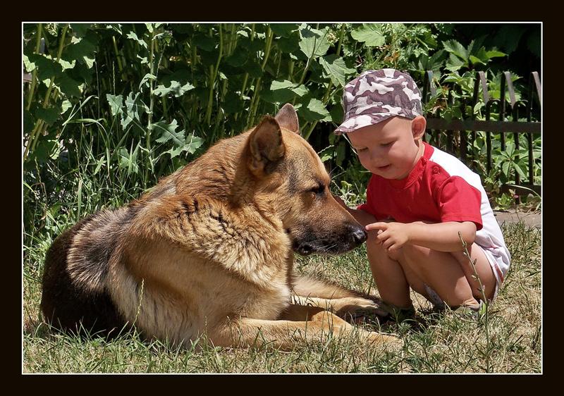 photo "***" tags: portrait, nature, children, pets/farm animals