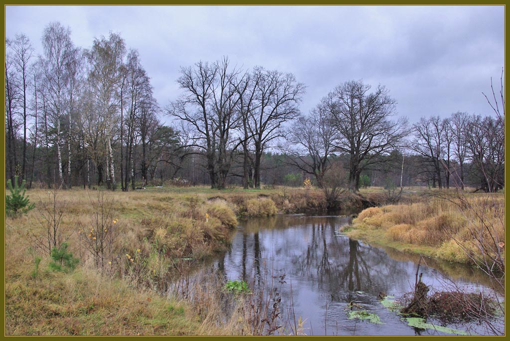 photo "quietly and calmly in the forest of my soul" tags: landscape, autumn