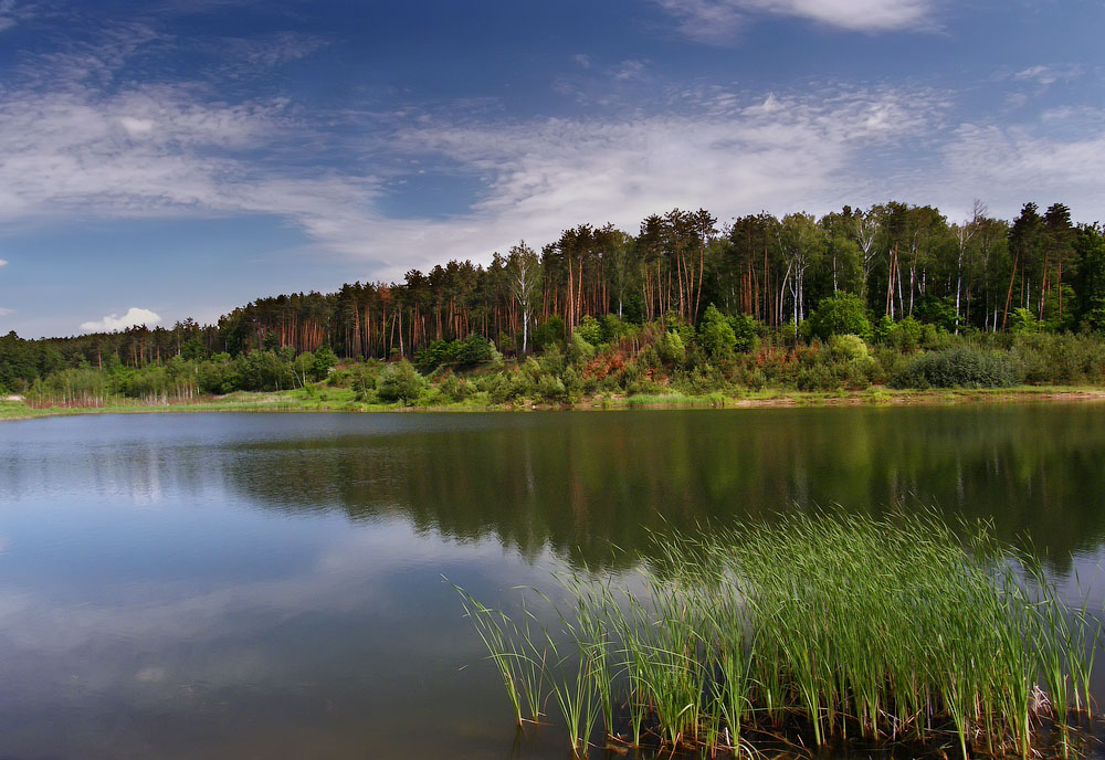 photo "***" tags: landscape, summer