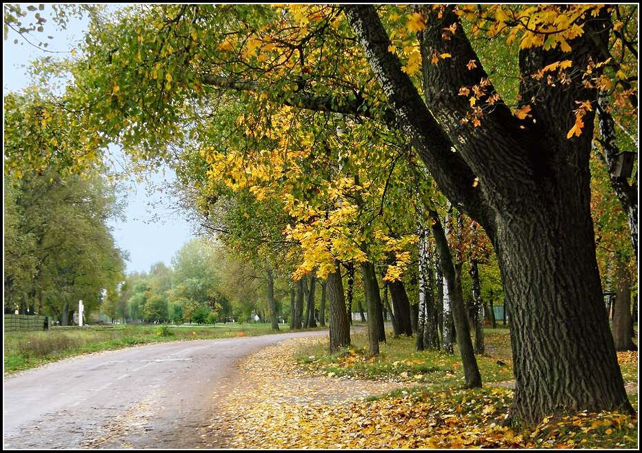 фото "***" метки: пейзаж, осень