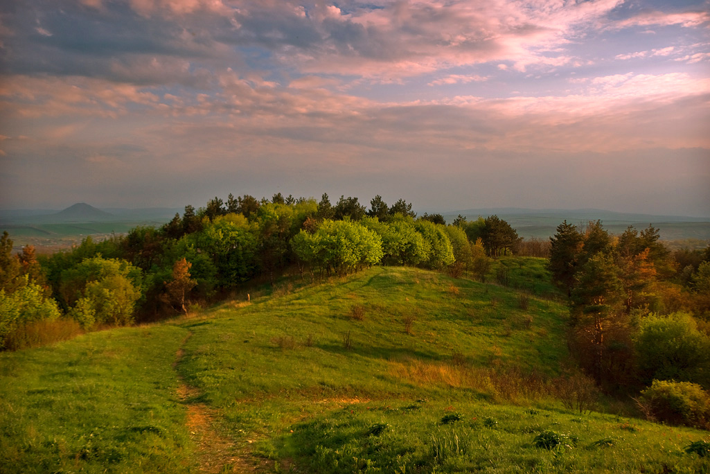 photo "The path to the house" tags: landscape, summer