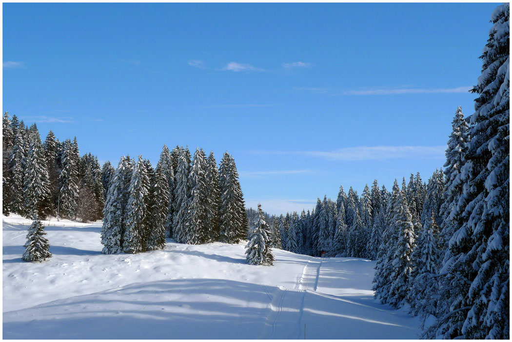 photo "Ski track" tags: landscape, winter