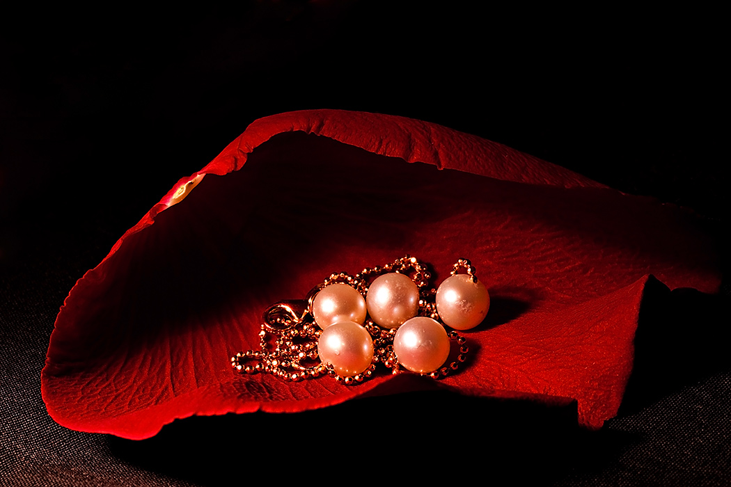 photo "***" tags: macro and close-up, 