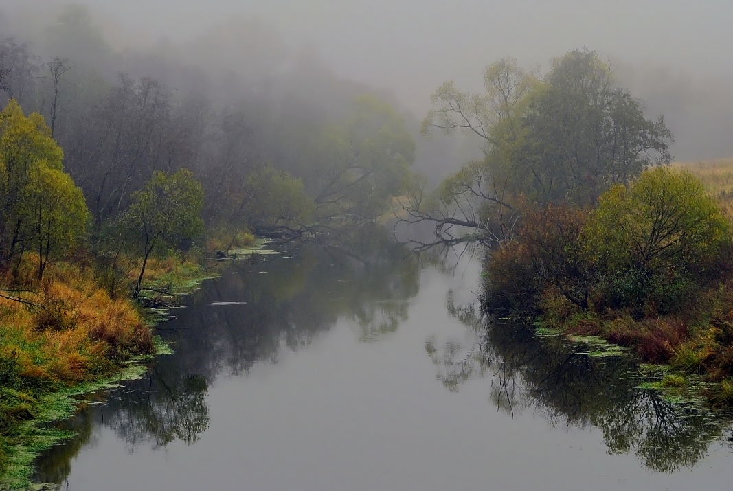 фото "Про осень, речку и туман" метки: пейзаж, вода, осень