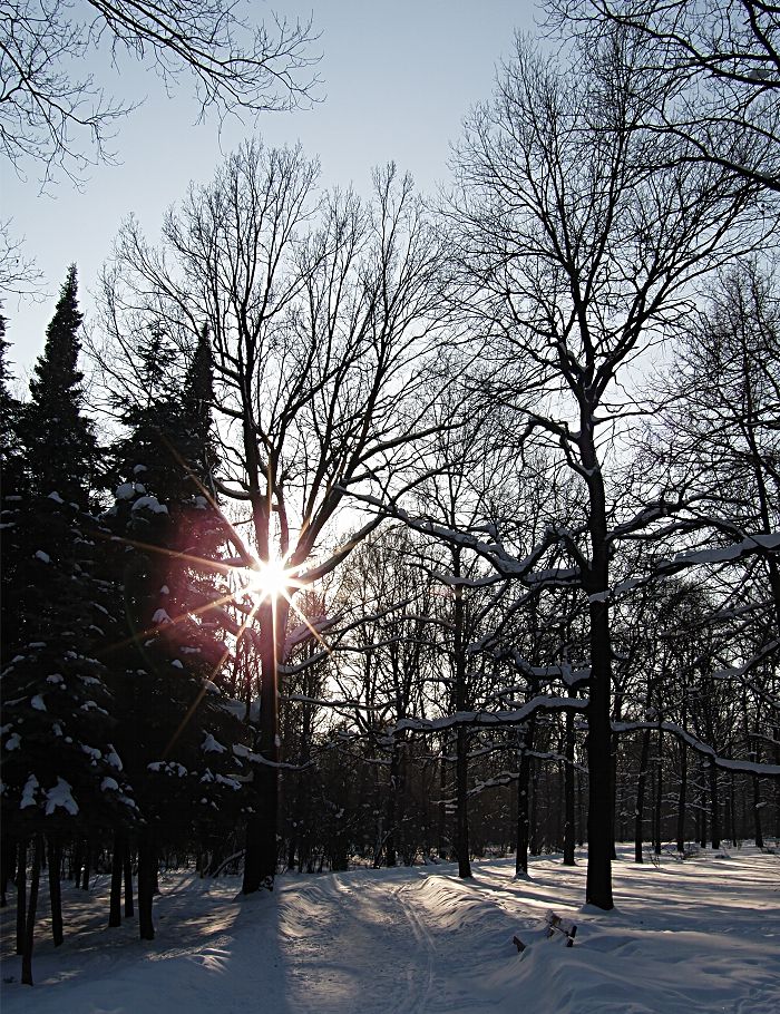 фото "Зимнее солнце." метки: пейзаж, зима
