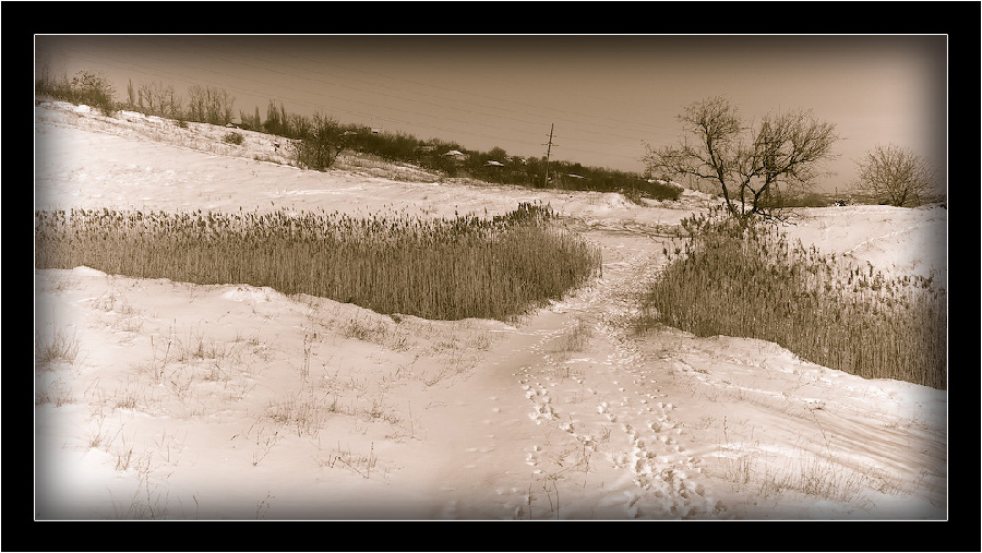 photo "Зимними тропами…" tags: landscape, winter