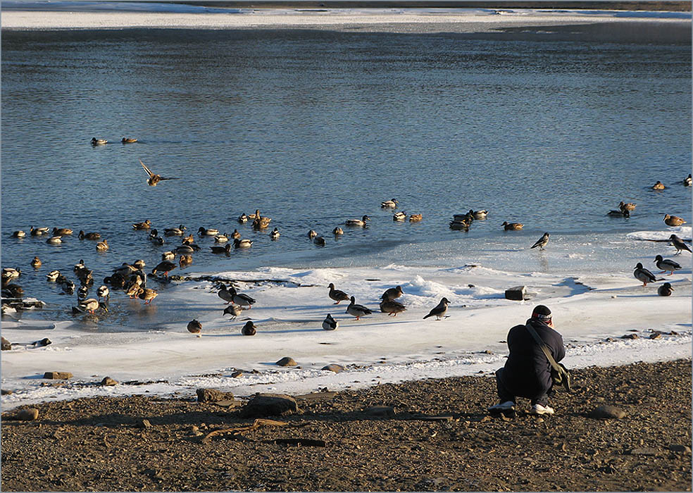 photo "Hunting with a camera" tags: landscape, reporting, winter