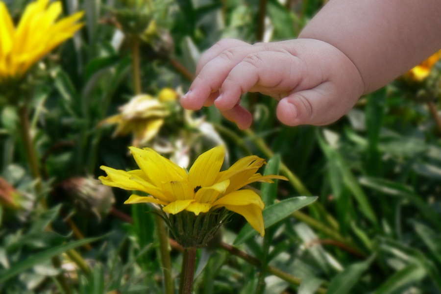 photo "First touch" tags: portrait, children