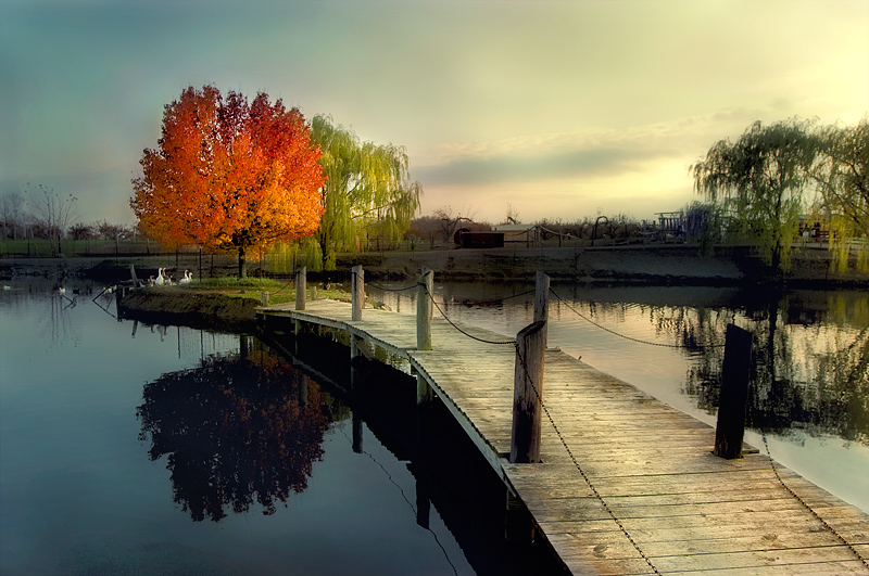 photo "***" tags: landscape, summer