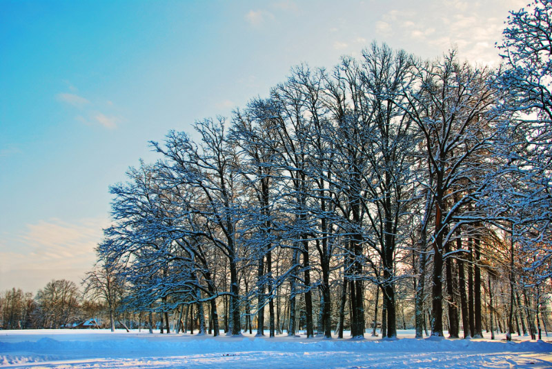 photo "***" tags: landscape, travel, Europe, winter