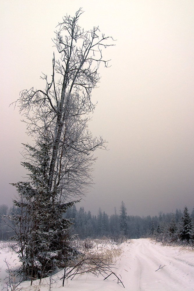 photo "***" tags: landscape, winter