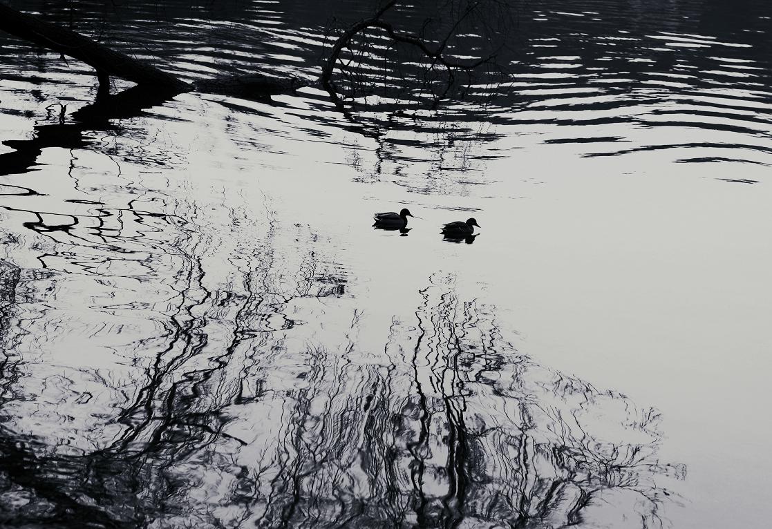 фото "A difficult world" метки: пейзаж, вода