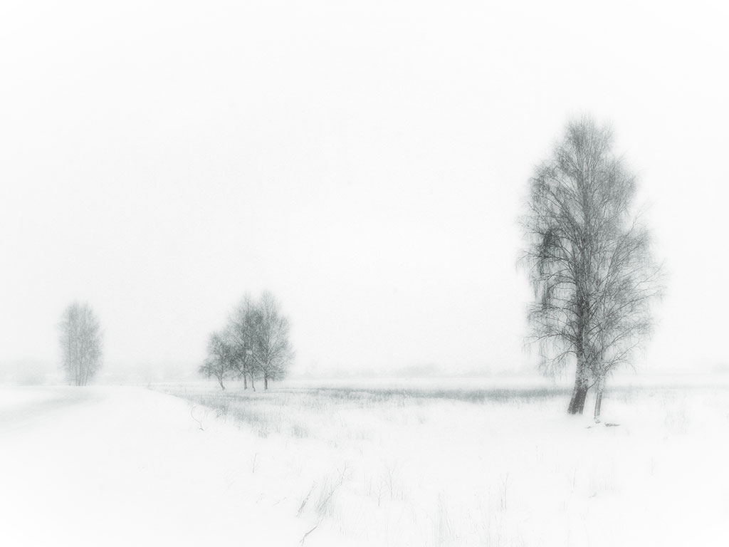 photo "White Melancholy" tags: landscape, black&white, winter