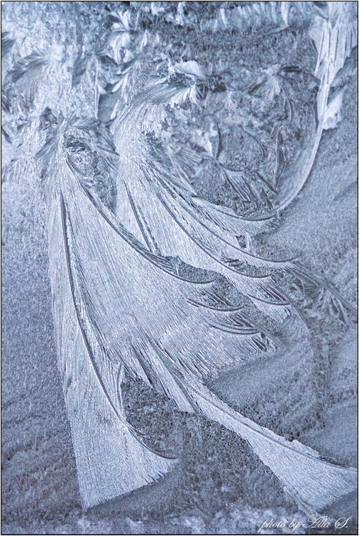 фото "Морозный узор на окне. Перья сказочных птиц." метки: абстракция, фрагмент, 