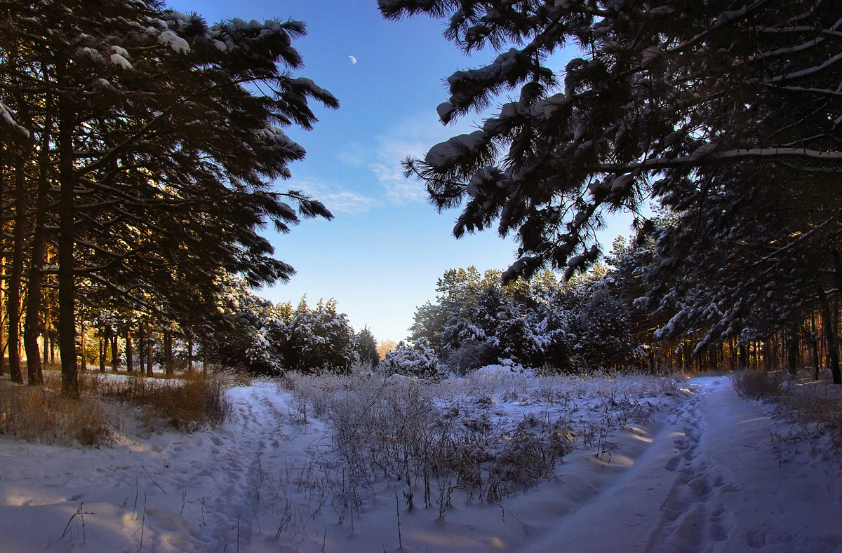 photo "***" tags: landscape, winter