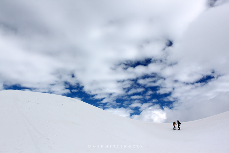 photo "Let's run..." tags: travel, landscape, Europe, winter