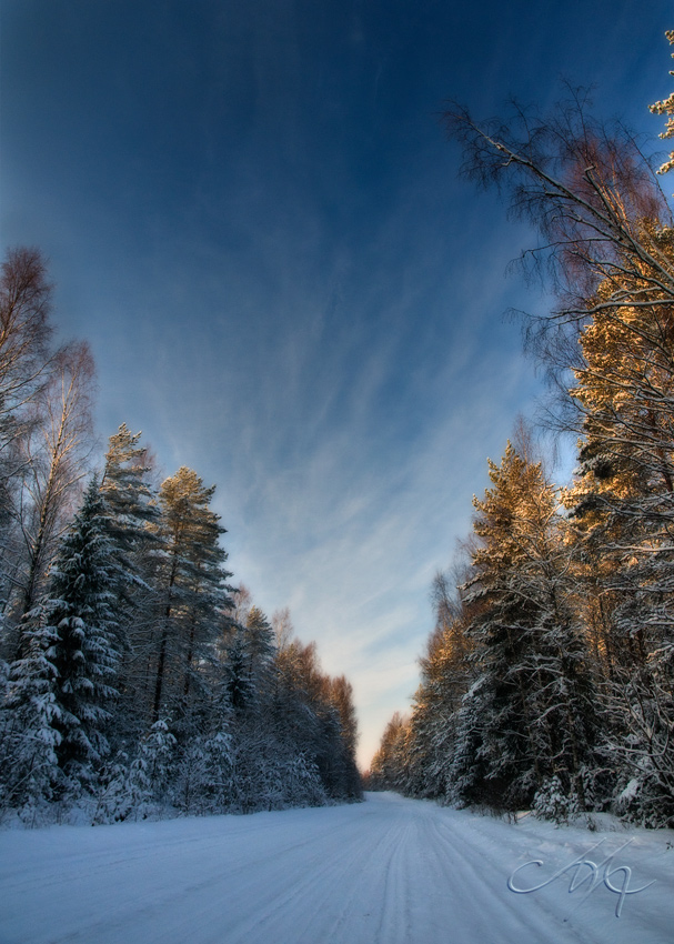 фото "По дороге в зиму." метки: пейзаж, путешествия, лес