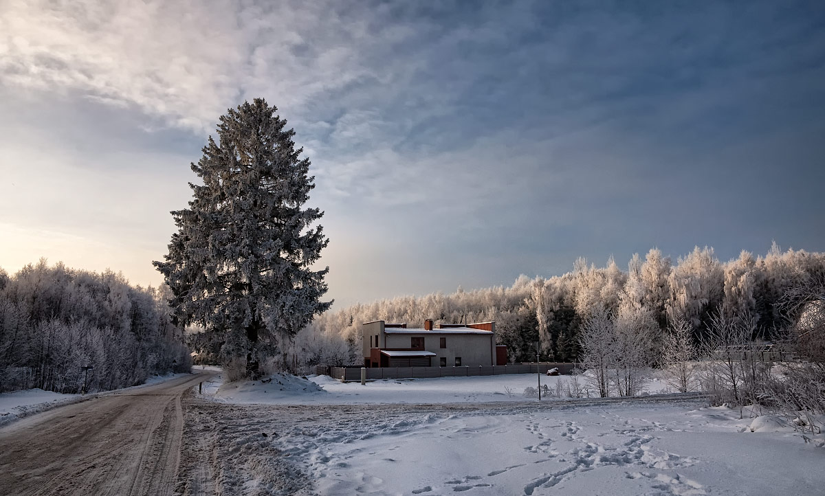 photo "***" tags: landscape, winter
