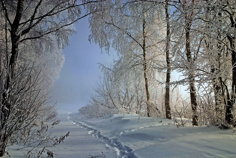 фото "Момент нежности" метки: пейзаж, зима