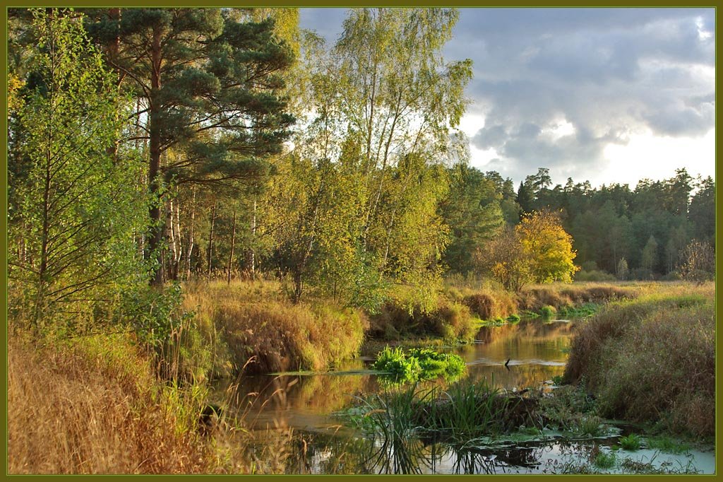 photo "Quiet gentle warm" tags: landscape, autumn, forest