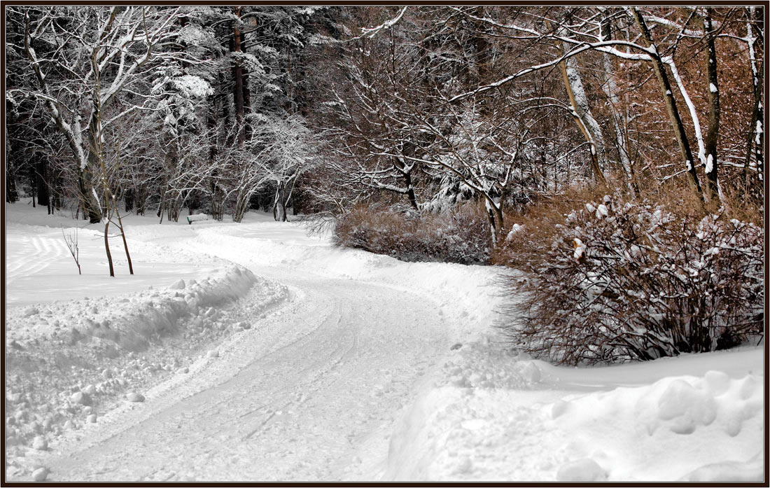 photo "Winter road" tags: landscape, forest, winter