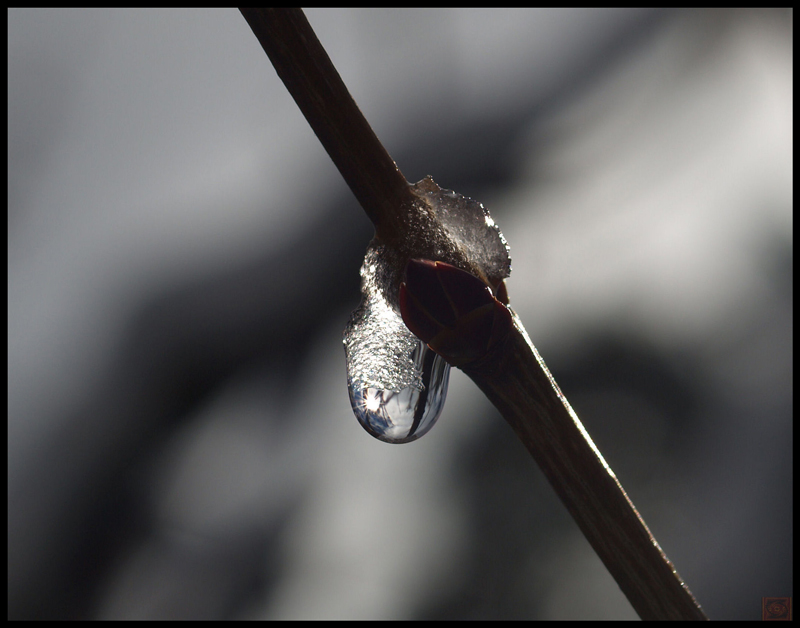 фото "Melt" метки: пейзаж, путешествия, Северная Америка, зима