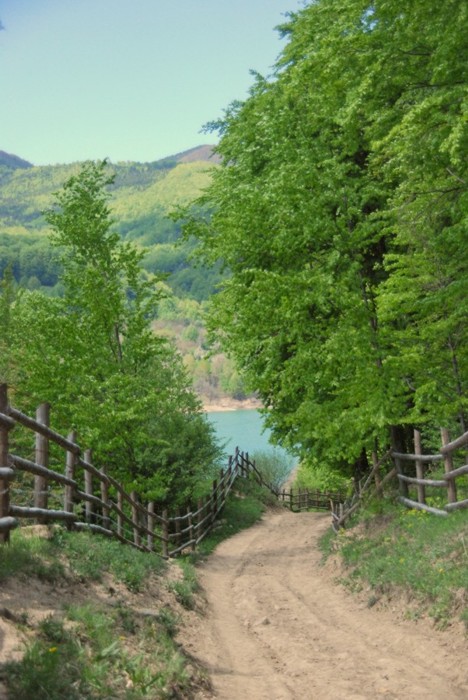 photo "Maneciu Lake, Romania" tags: landscape, forest, mountains