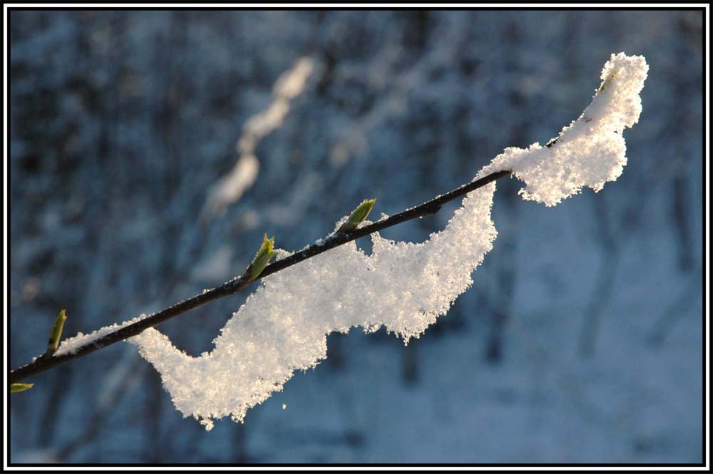 фото "2007 г. Последний снег." метки: пейзаж, 