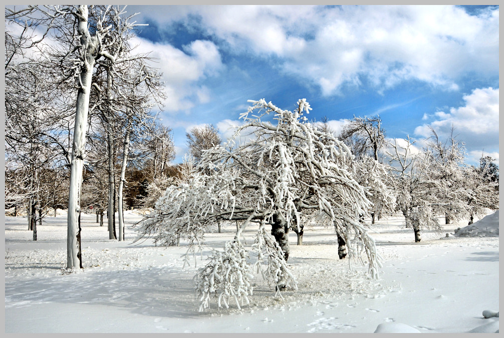 фото "Зимняя песня" метки: пейзаж, зима