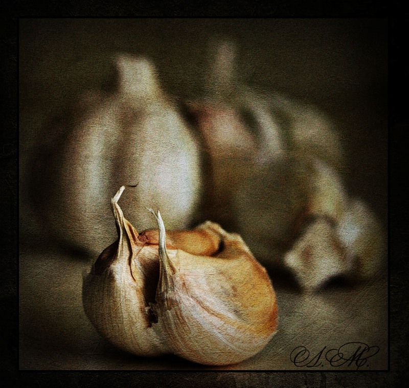 photo "***" tags: macro and close-up, 