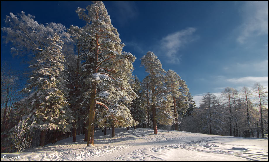 photo "Pargolovsky Shuvalovsky Park. Hill with a stone bench" tags: landscape, winter