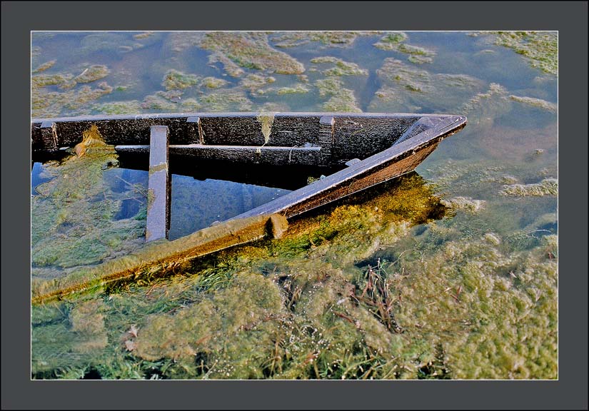photo "****" tags: , 
