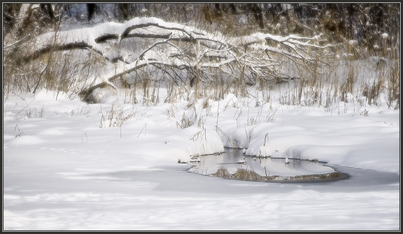 photo "A little mirror" tags: landscape, winter