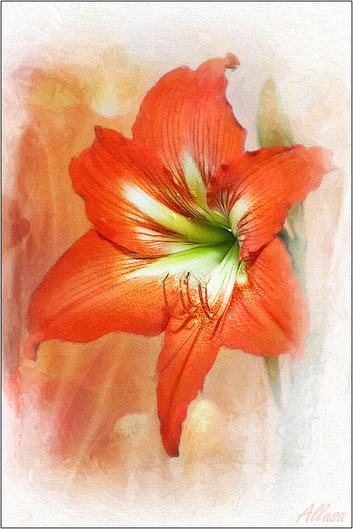 фото "Огненный цветок" метки: природа, digital art, цветы