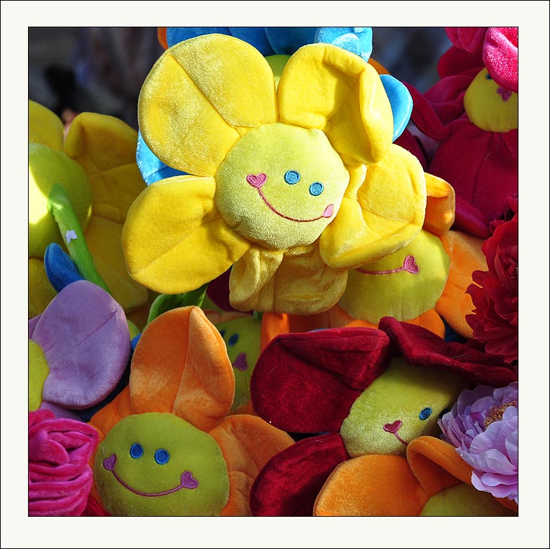 photo "beijing-17" tags: macro and close-up, city, 