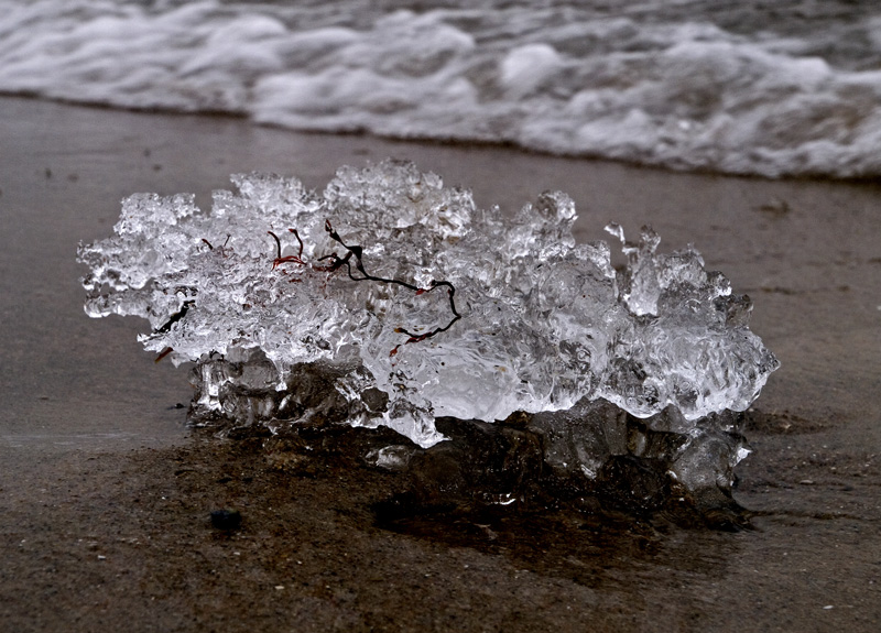 photo "Iceberg On The Beach" tags: landscape, macro and close-up, winter