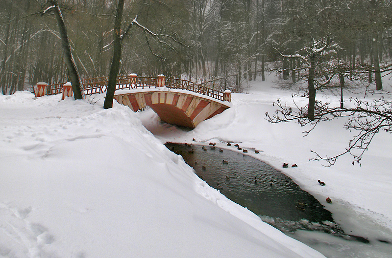 photo "***" tags: landscape, winter