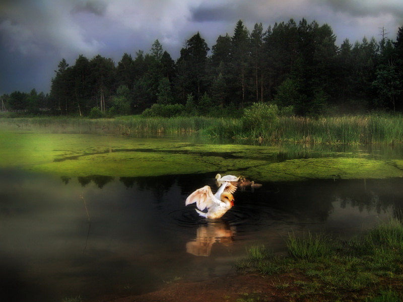 фото "перед грозой" метки: пейзаж, 
