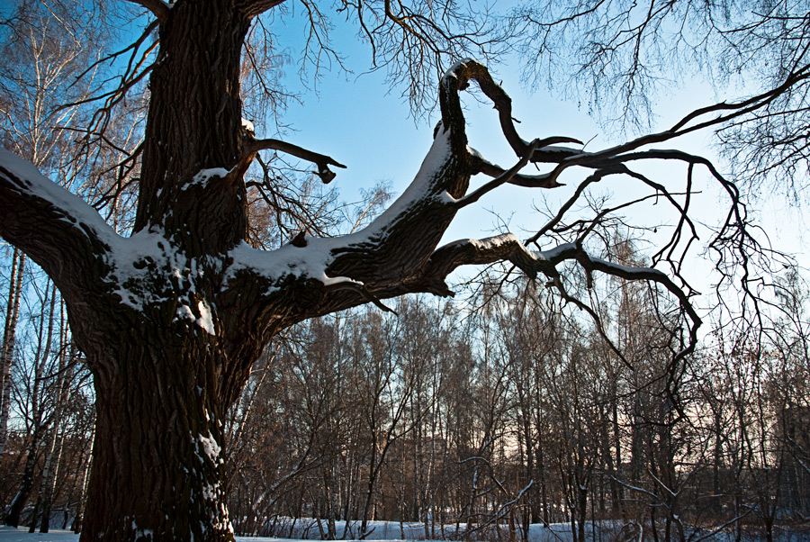photo "Hands of the giant" tags: landscape, nature, winter
