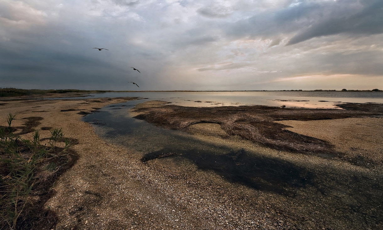 фото "На Дальней косе-VIII" метки: пейзаж, вода