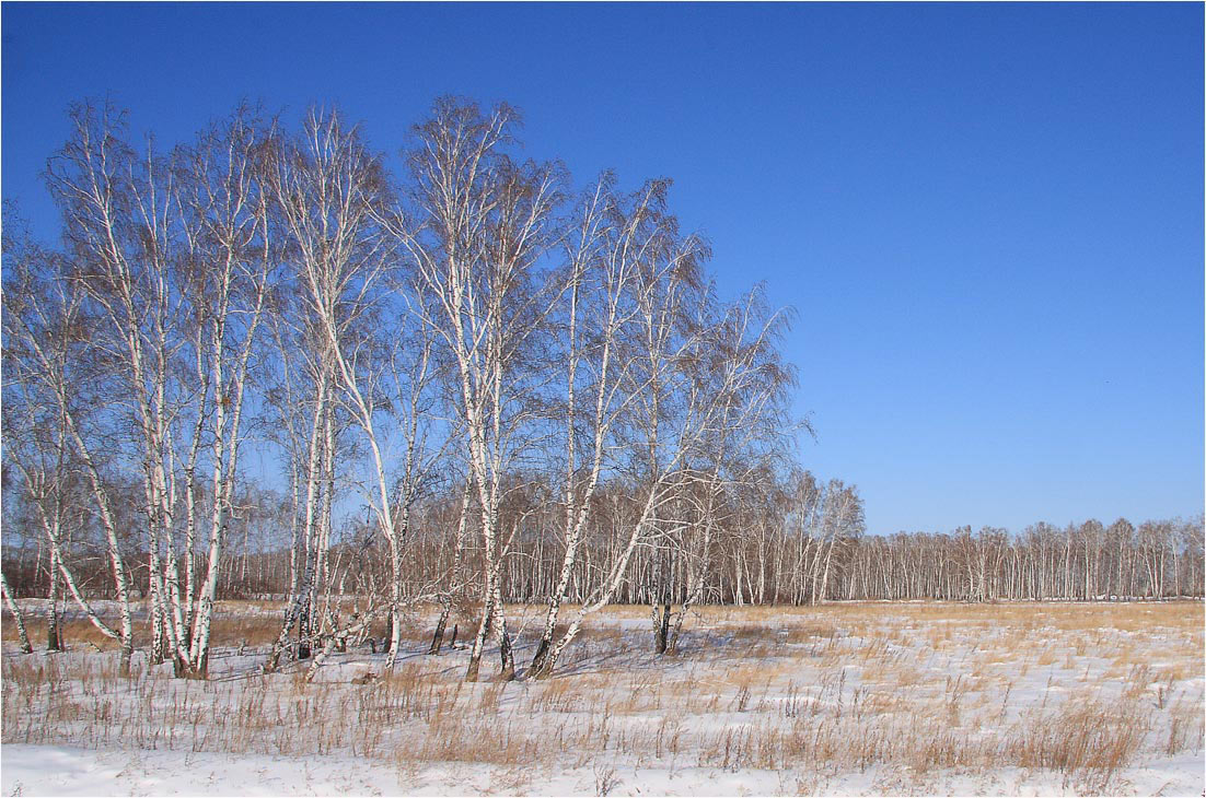 photo "***" tags: landscape, winter