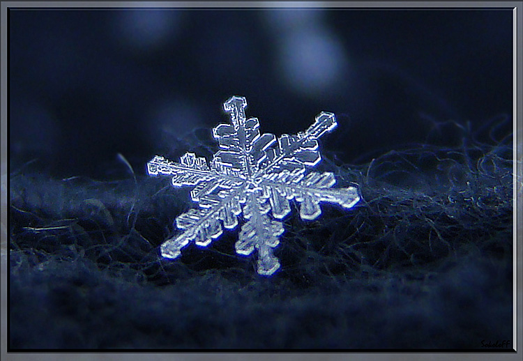 photo "макро ,снежинка,зима" tags: macro and close-up, misc., 
