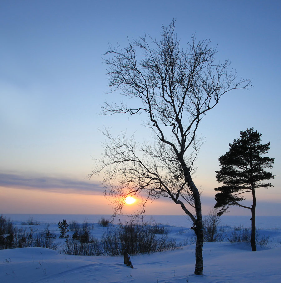 photo "***" tags: landscape, sunset