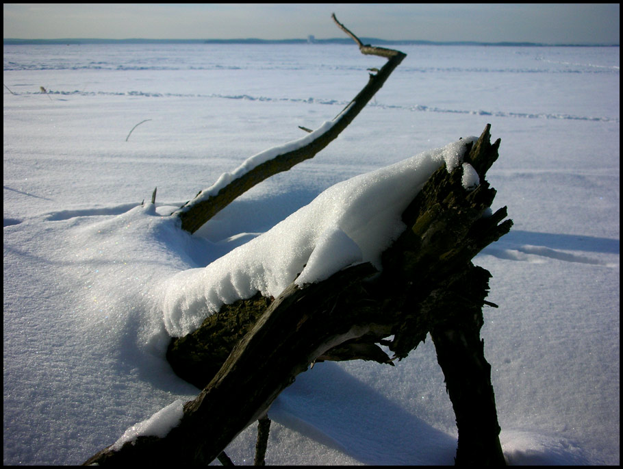 photo "Coastal dragon" tags: landscape, winter