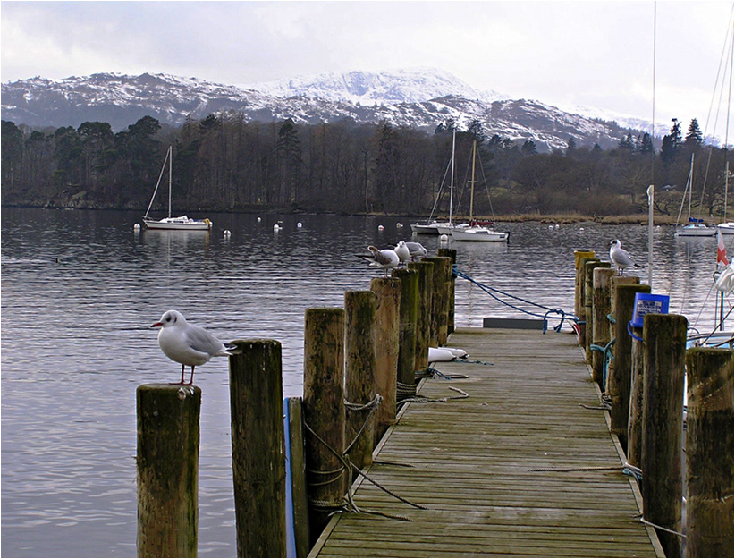 photo "***" tags: landscape, water, winter