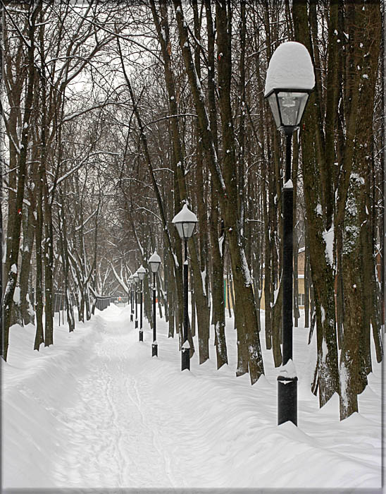 фото "Аллея" метки: пейзаж, зима