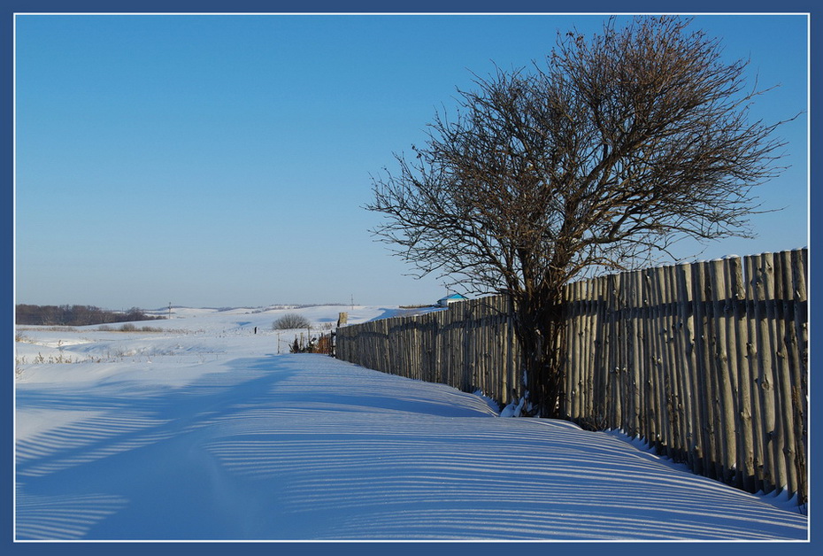 photo "***" tags: landscape, winter